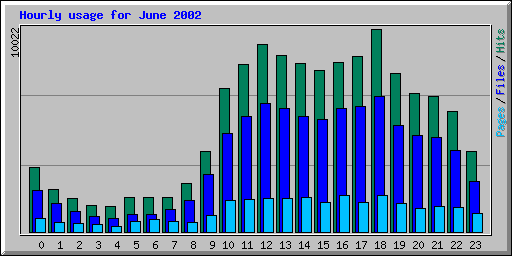 Hourly usage for June 2002