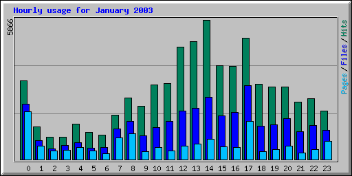 Hourly usage for January 2003